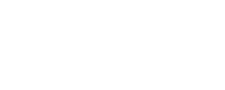 Lightstout - logo